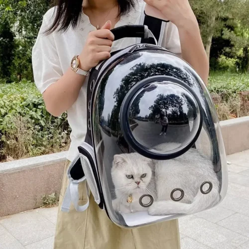 Space Capsule Transparent Pet Travel Backpack