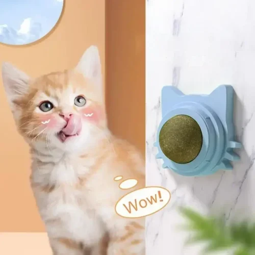 Rotating Catnip Wall Ball